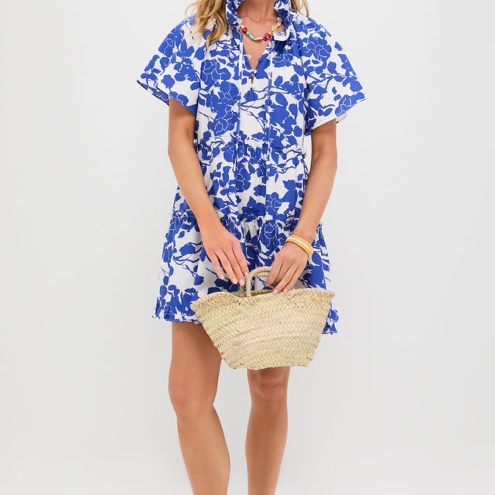 Tuckernuck Hyacinth House Thea Mini Dress NWT